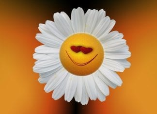 VACANCES SUR TERRE ET SEXE AU PARADIS